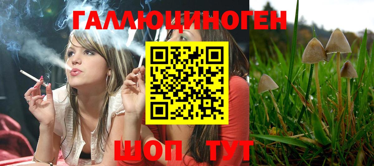 где купить наркоту  Вход с VPN  Зеленокумск  Галлюциногенные грибы ЛСД 
